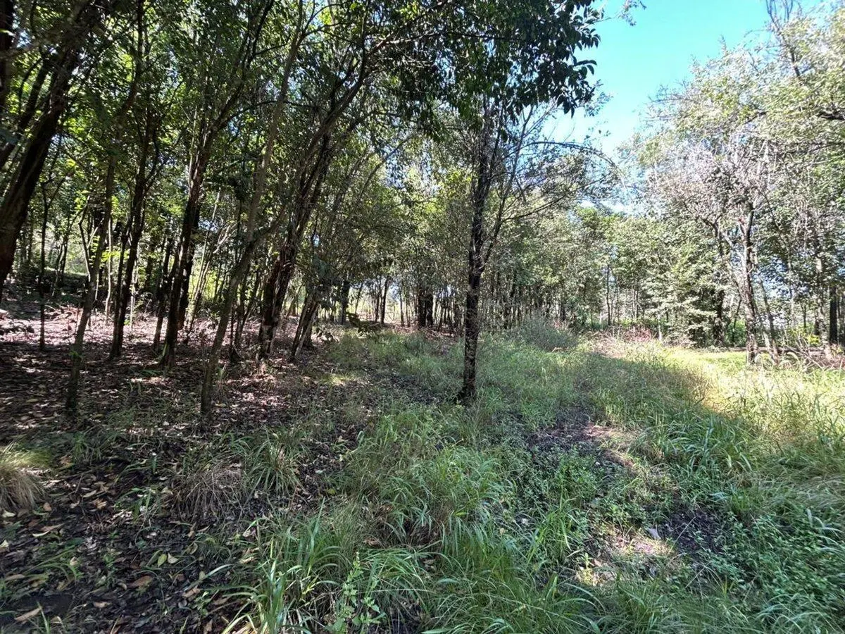 VENTA TERRENO 1001 mts LA SERRANITA 8