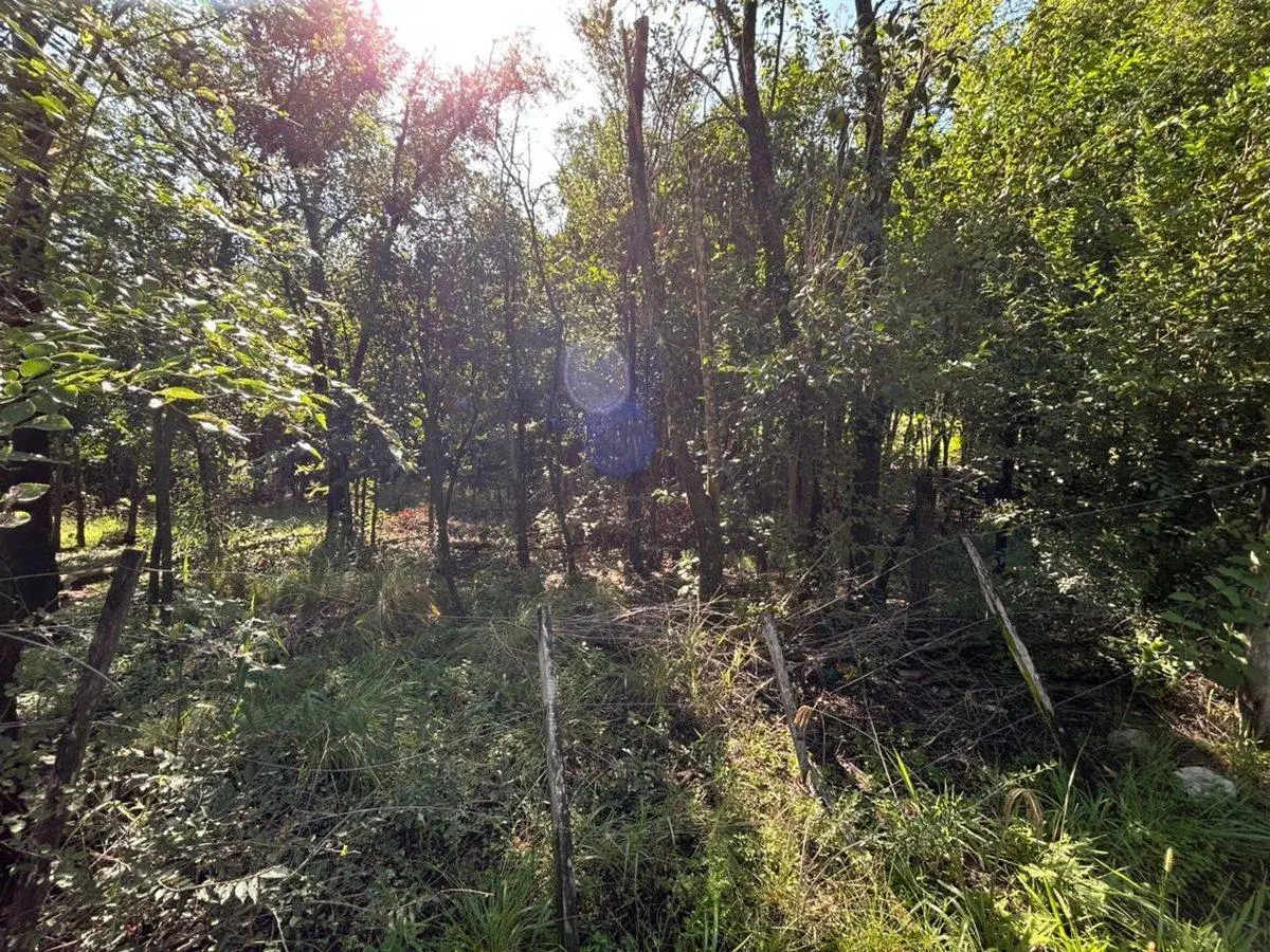 VENTA TERRENO 1001 mts LA SERRANITA 5