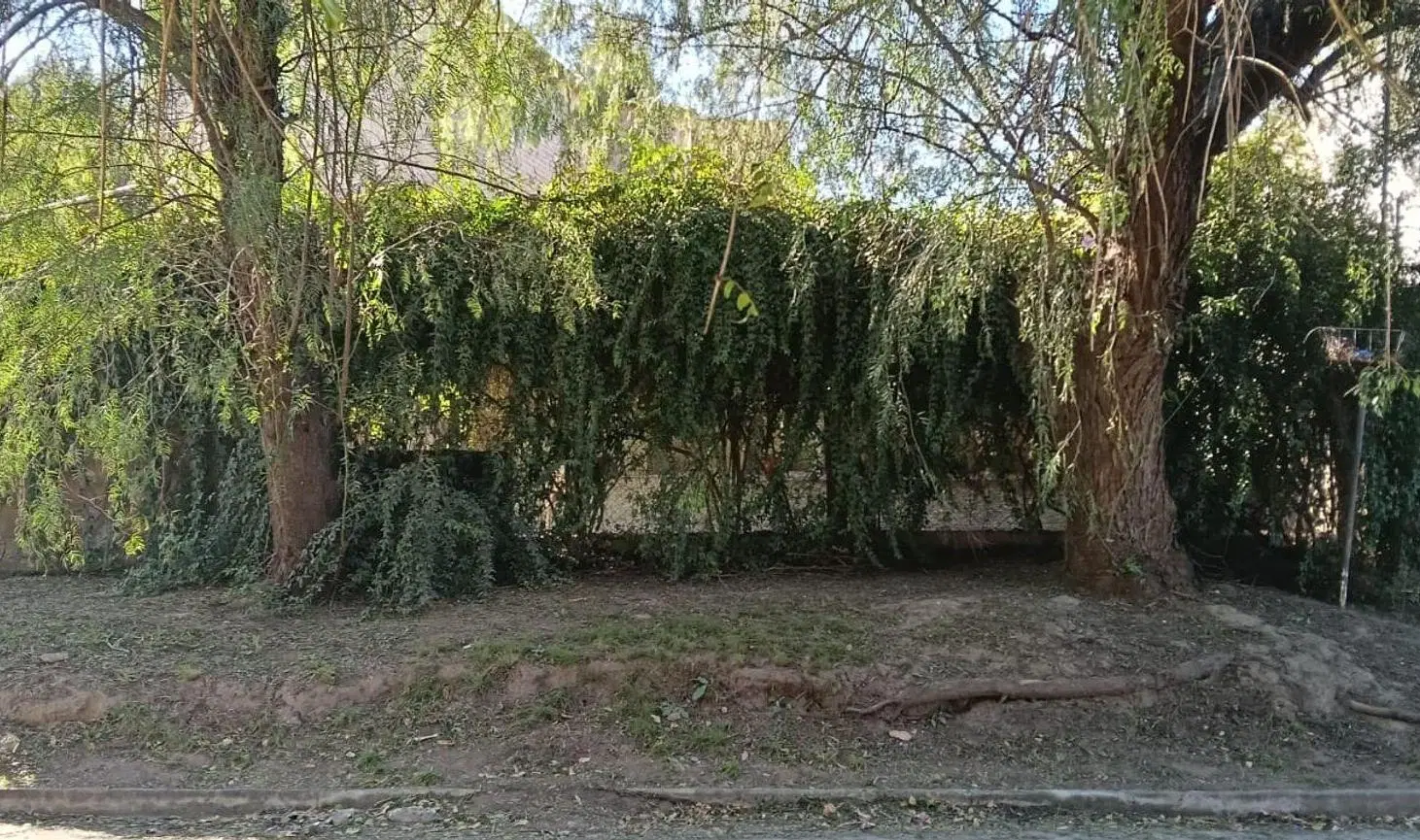VENDE CASA 3 DORMITORIOS RIVERA INDARTE 3