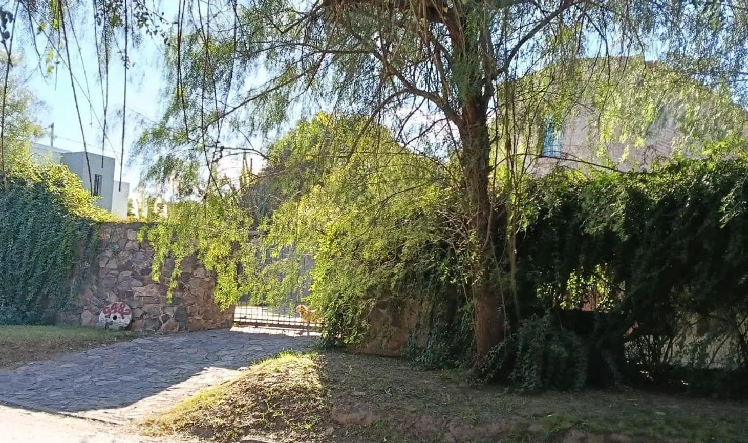 VENDE CASA 3 DORMITORIOS RIVERA INDARTE 5