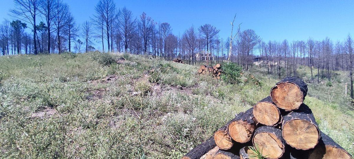 TERRENO EN VENTA VILLA DEL CONDOR POTRERO DE GARAY
