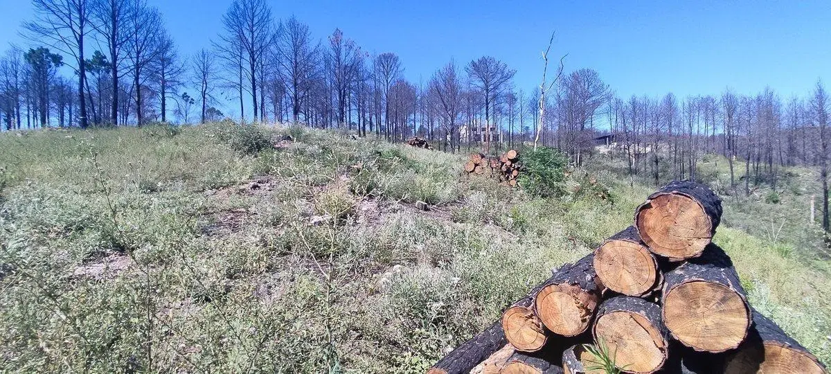 TERRENO EN VENTA VILLA DEL CONDOR POTRERO DE GARAY 5