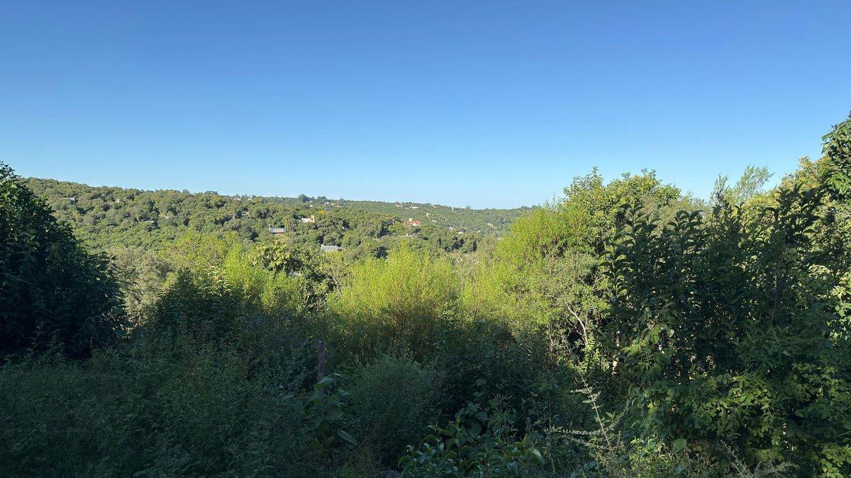 Foto de VENTA LOTE DE 5353 M2 EN RÍO CEBALLOS, imagen 1
