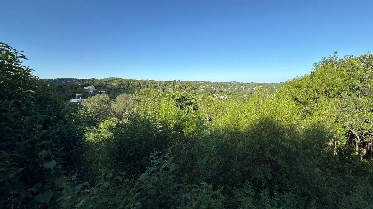 VENTA LOTE DE 5353 M2 EN RÍO CEBALLOS 3