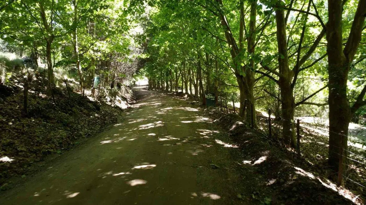 VENTA CAMPO 18HAS ARROYO CNO CANDONGA AGUA DE ORO 2
