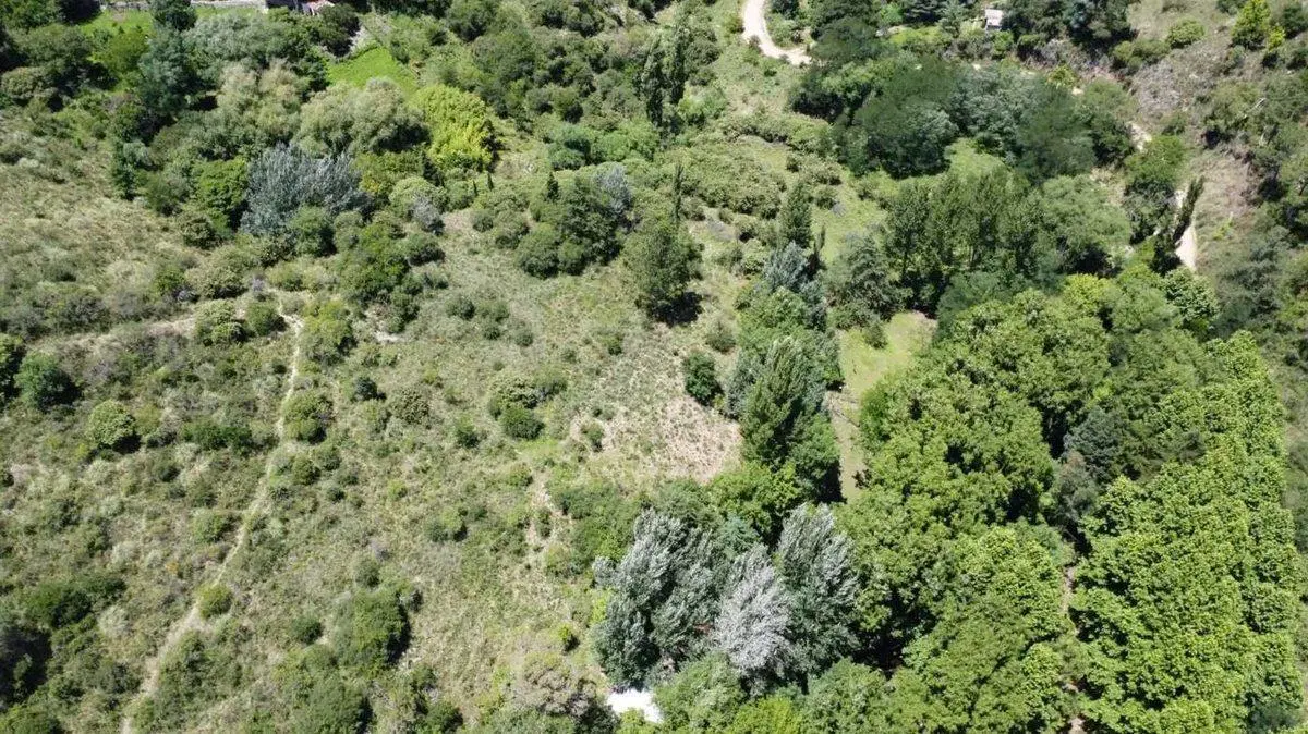 VENTA CAMPO 18HAS ARROYO CNO CANDONGA AGUA DE ORO 5