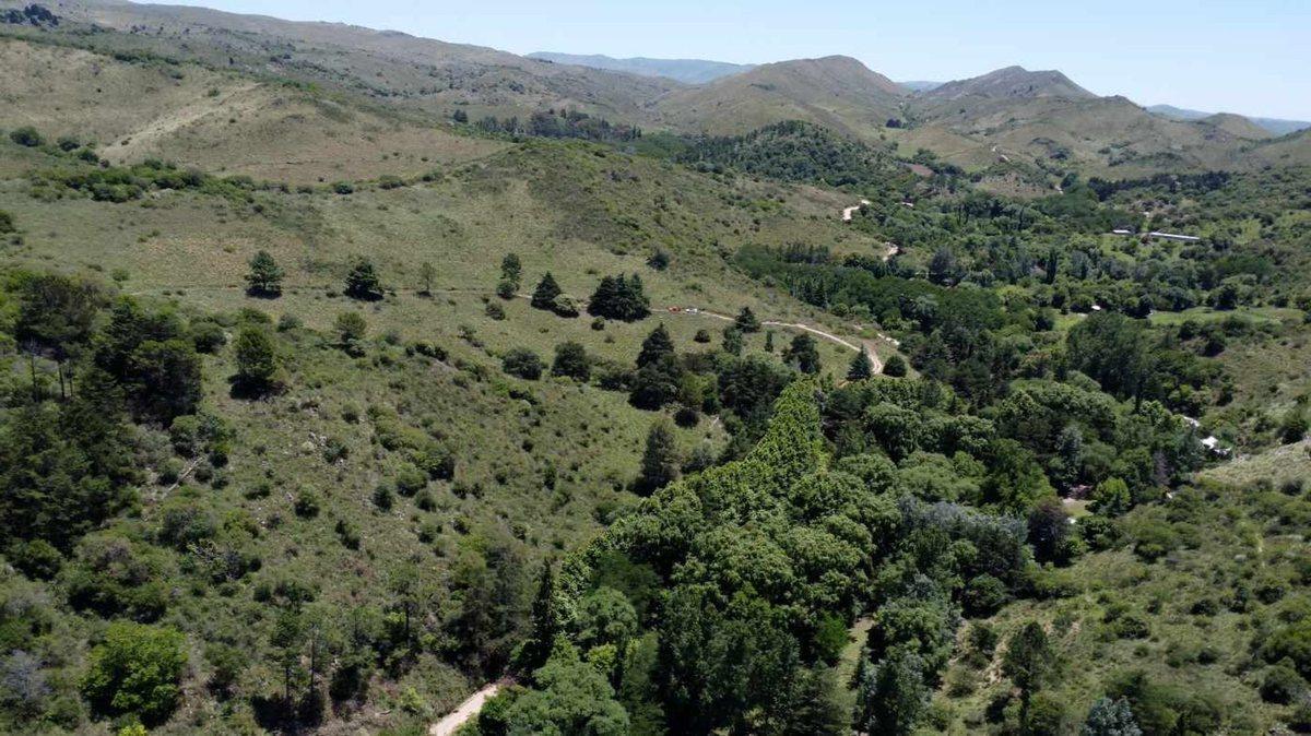 VENTA CAMPO 18HAS ARROYO CNO CANDONGA AGUA DE ORO
