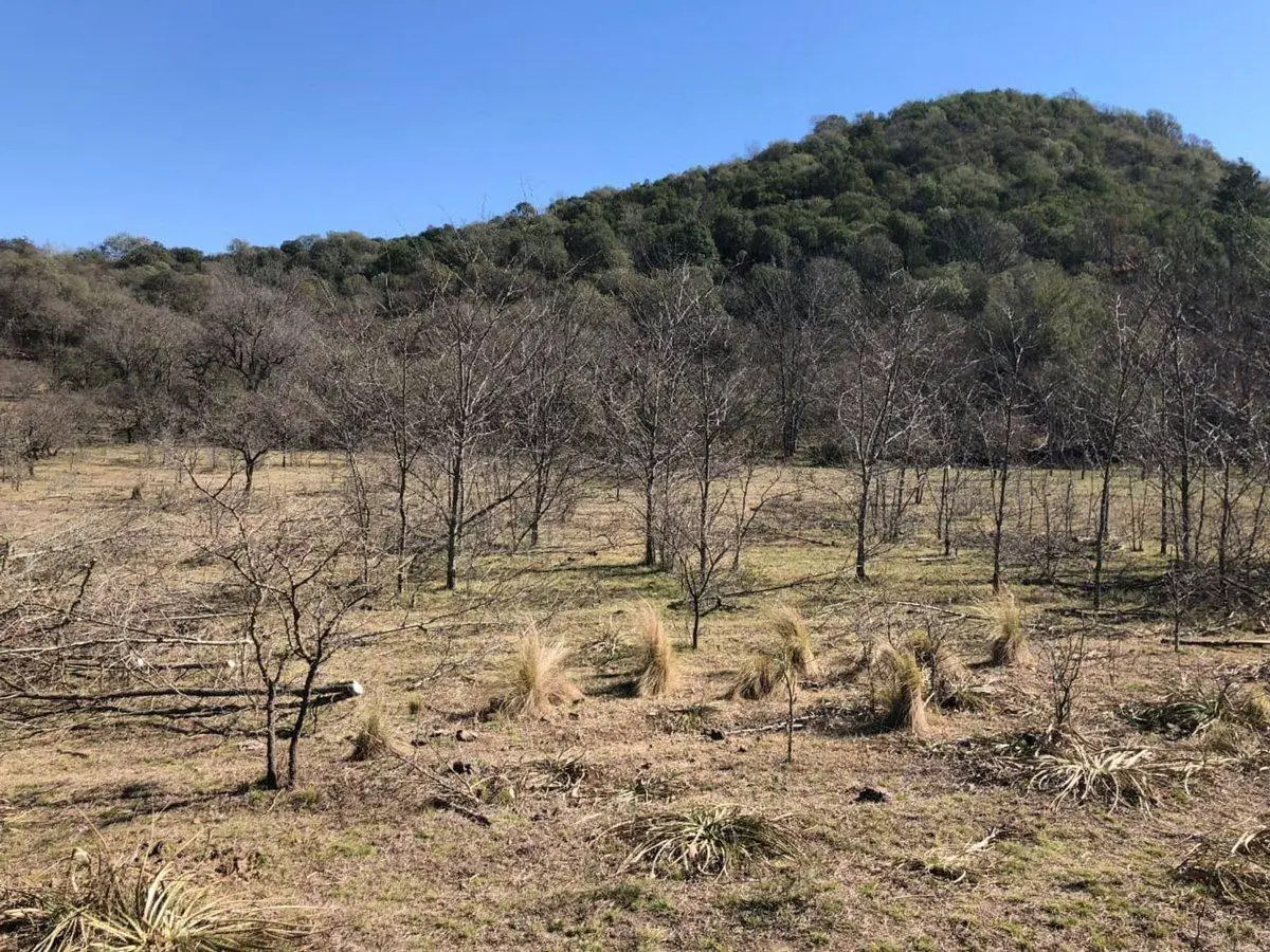 VENTA TERRENO 13.000mt UNQUILLO CAM. A SAN MARCOS 5