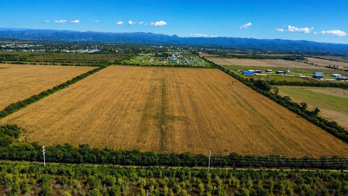 VENTA TERRENO 31 HECTAREAS IDEAL LOTEO UNQUILLO 3