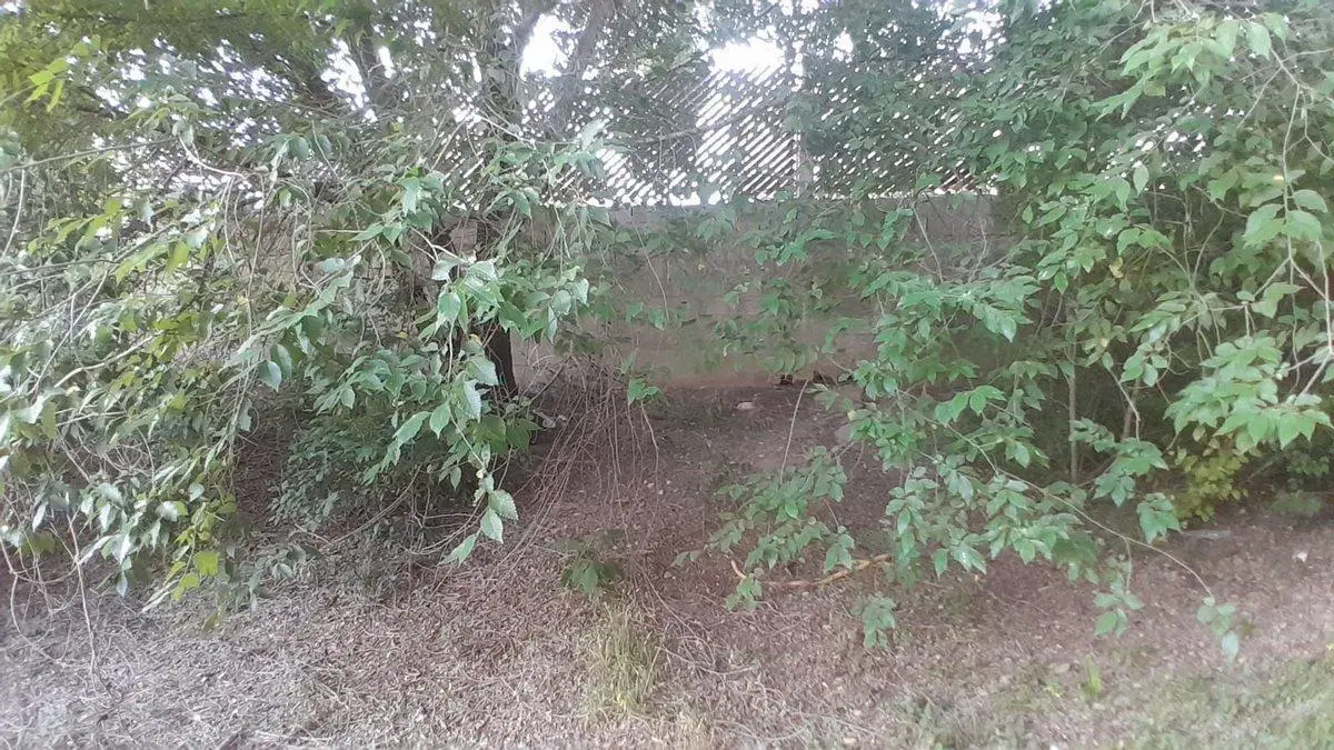 VENTA TERRENO SAN ANTONIO DE ARREDONDO 714MTS 5