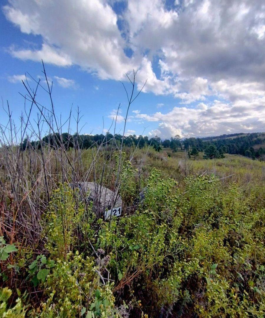 TERRENO EN VENTA OPORTUNIDAD LOMAS DEL TIGRE VGB