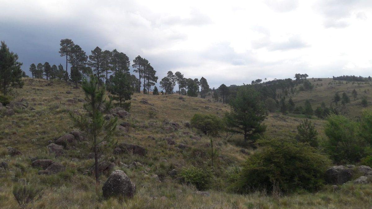 TERRENO EN VENTA OPORTUNIDAD LOMAS DEL TIGRE VGB