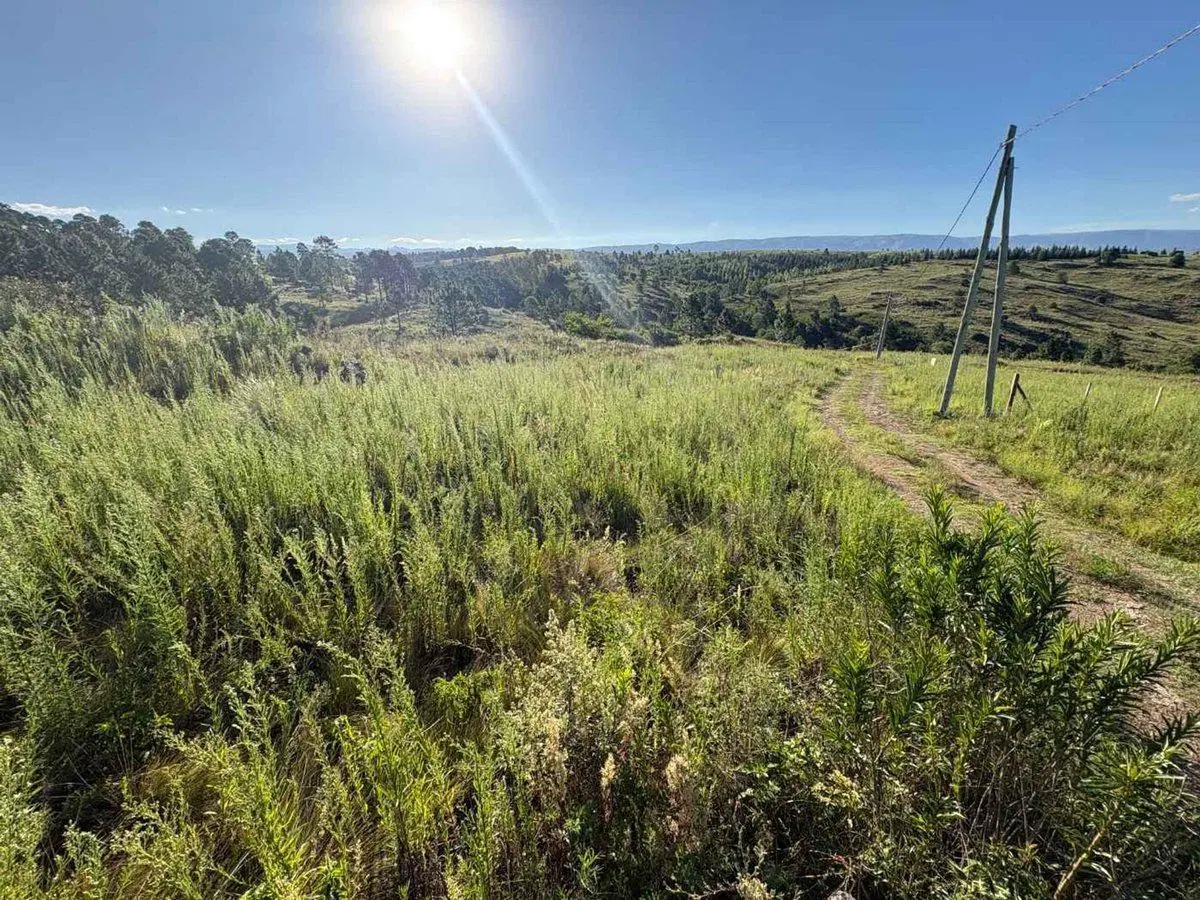 TERRENO EN VENTA OPORTUNIDAD LOMAS DEL TIGRE VGB 3