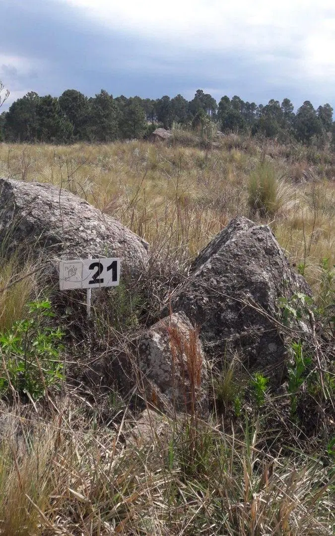 TERRENO EN VENTA OPORTUNIDAD LOMAS DEL TIGRE VGB 4