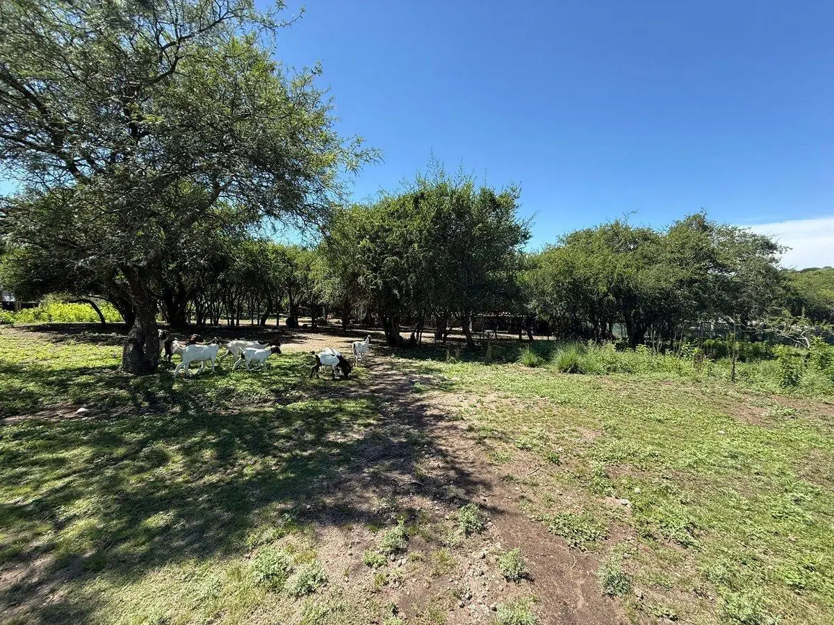 VENTA CASA 2 DORM CON PILETA LA GRANJA TERRENO 1HA 4