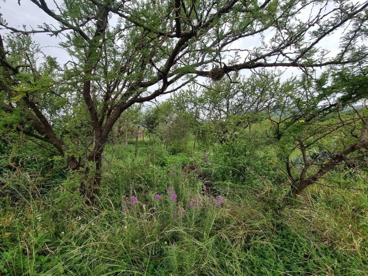 VENTA DE LOTE EN CAPILLA DEL MONTE 3