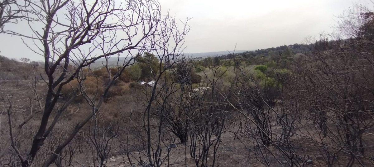 Foto de VENTA DE LOTE de 2.014 m2 EN LA FALDA, imagen 4