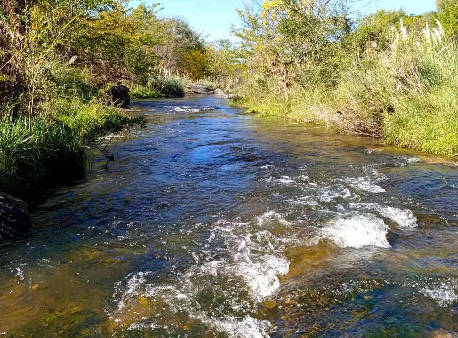 VENTA LOTE BIALET MASSE 1986M2 A METROS RIO TANTI 5