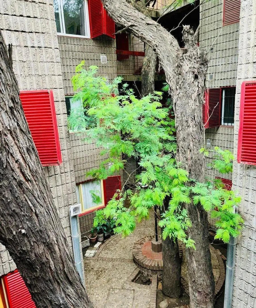 VENTA DEPARTAMENTO DUPLEX AMOBLADO GUEMES 1DORM 4