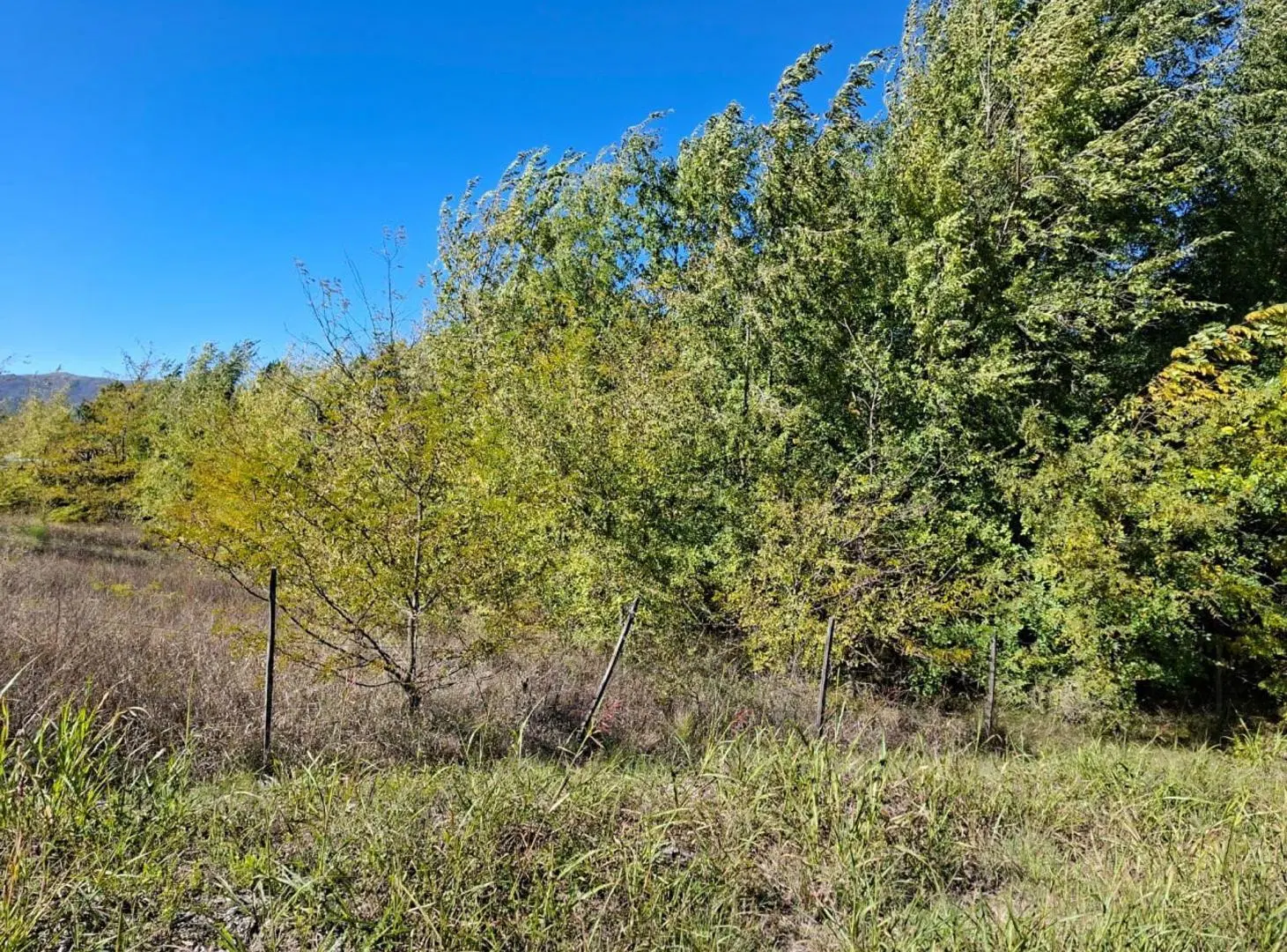 VENTA LOTES 509 mts LOS REARTES 2