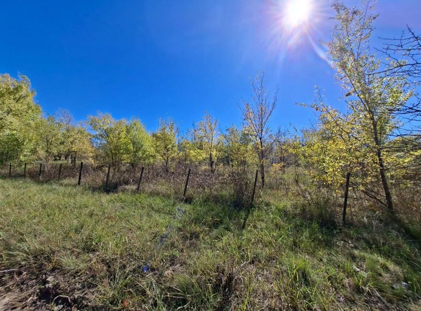 VENTA LOTES 509 mts LOS REARTES 4