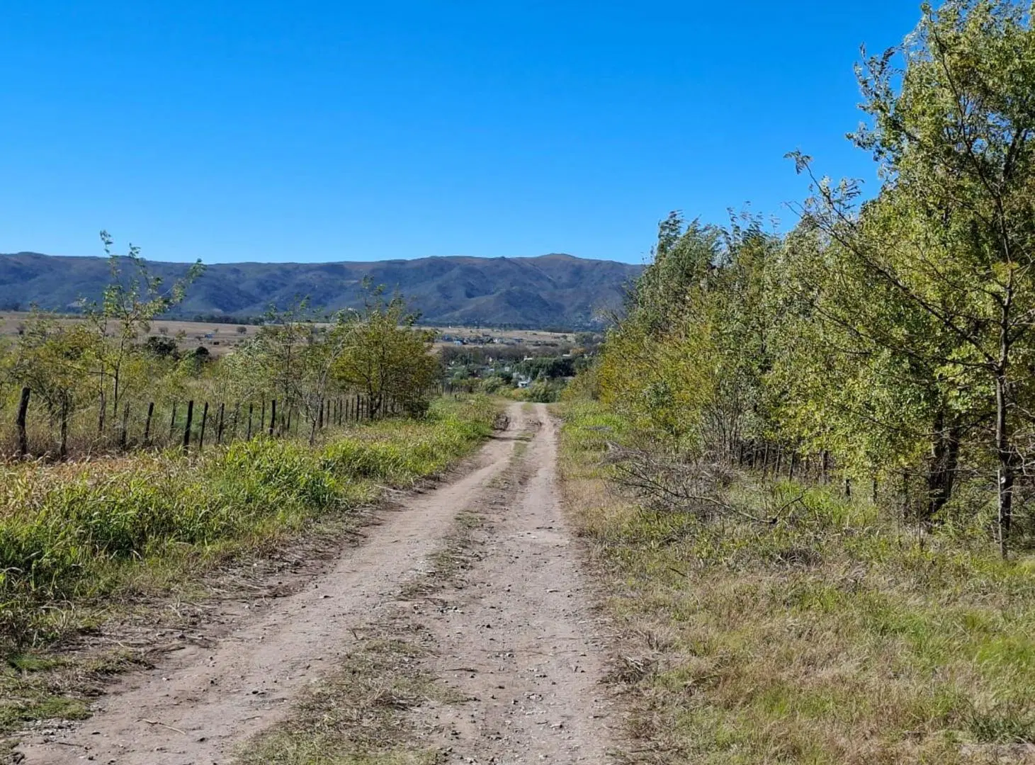 VENTA LOTES 509 mts LOS REARTES 5