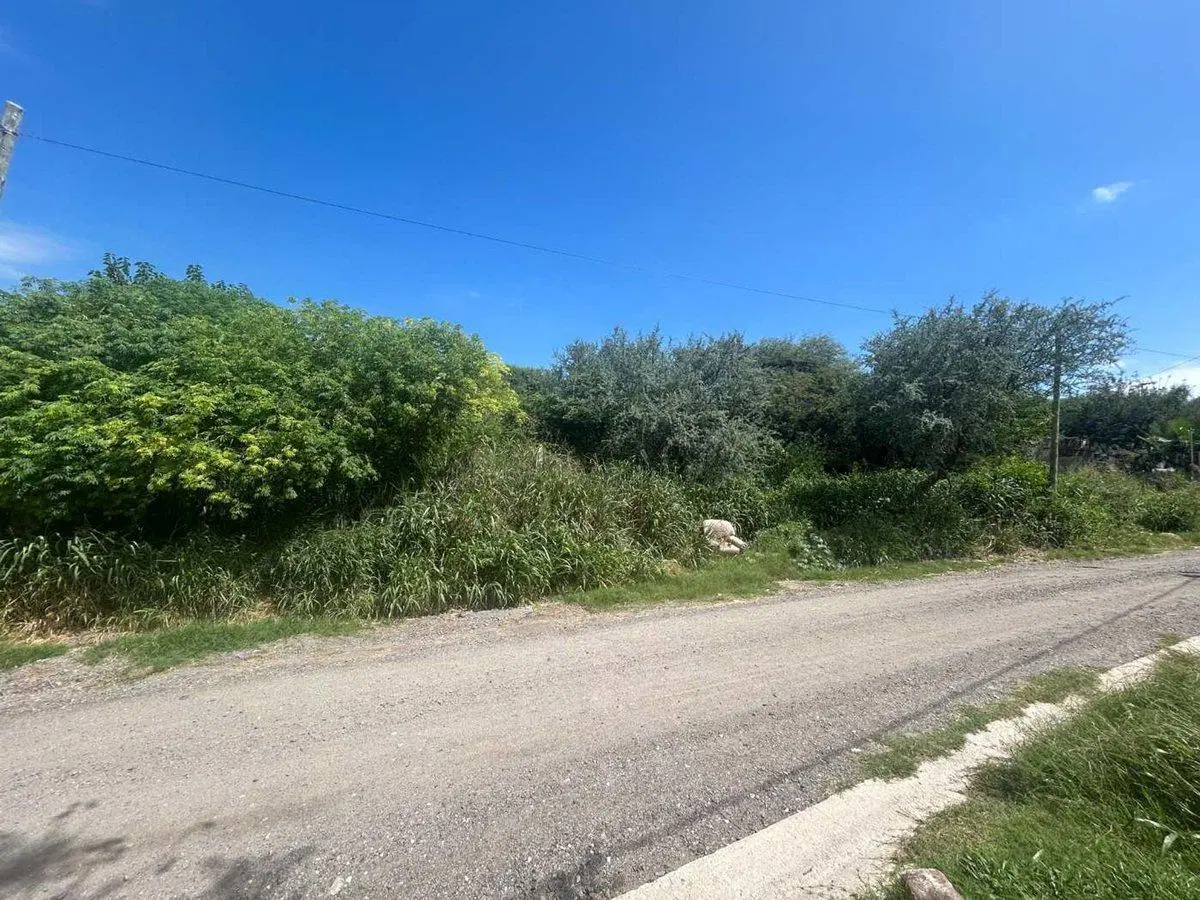 LOTE CUESTA COLORADA LA CALERA 5