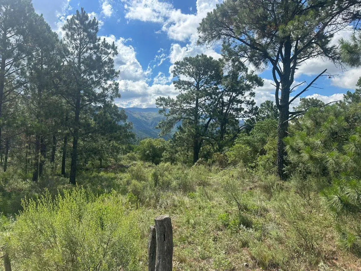 VENTA LOTE 1.5HA EN SAN CLEMENTE SOBRE RUTA C/RIO 8
