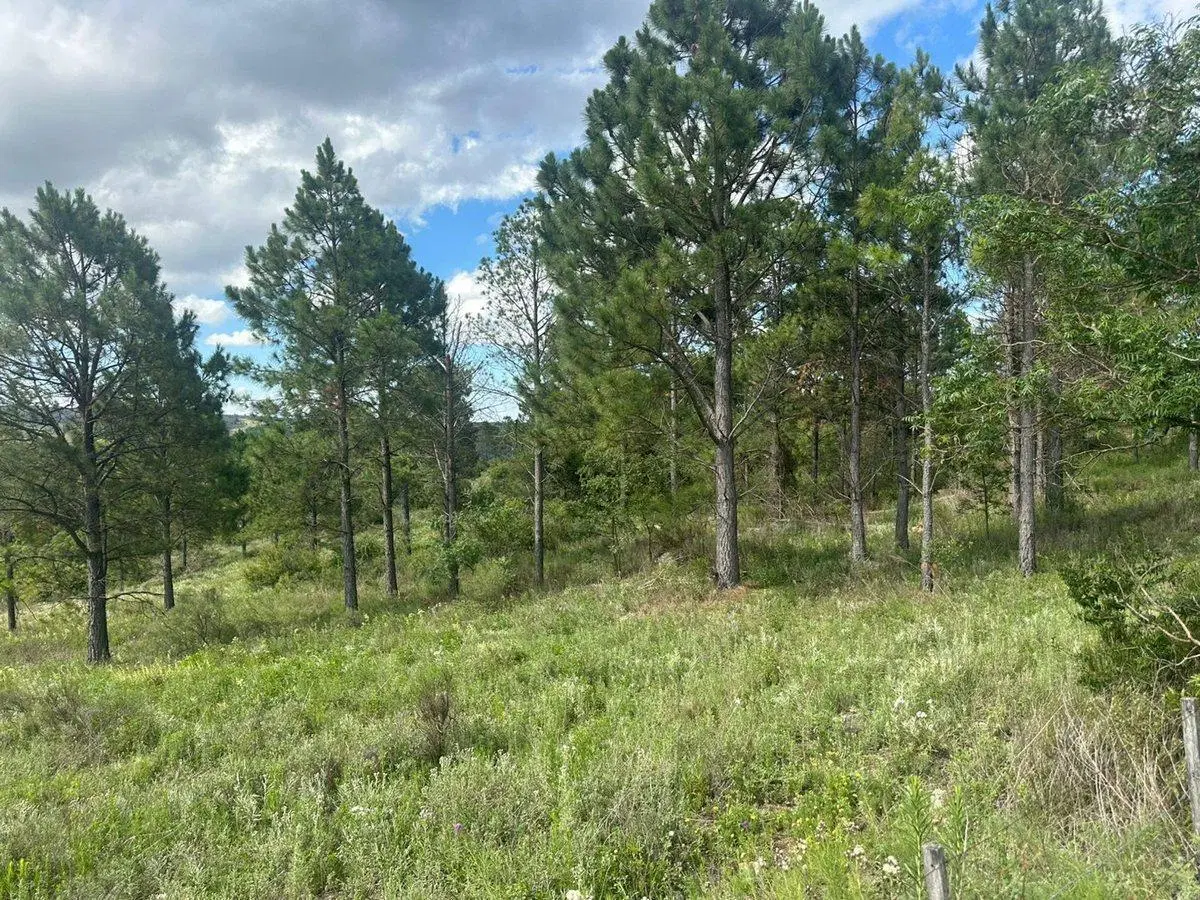 VENTA LOTE 1.5HA EN SAN CLEMENTE SOBRE RUTA C/RIO 2