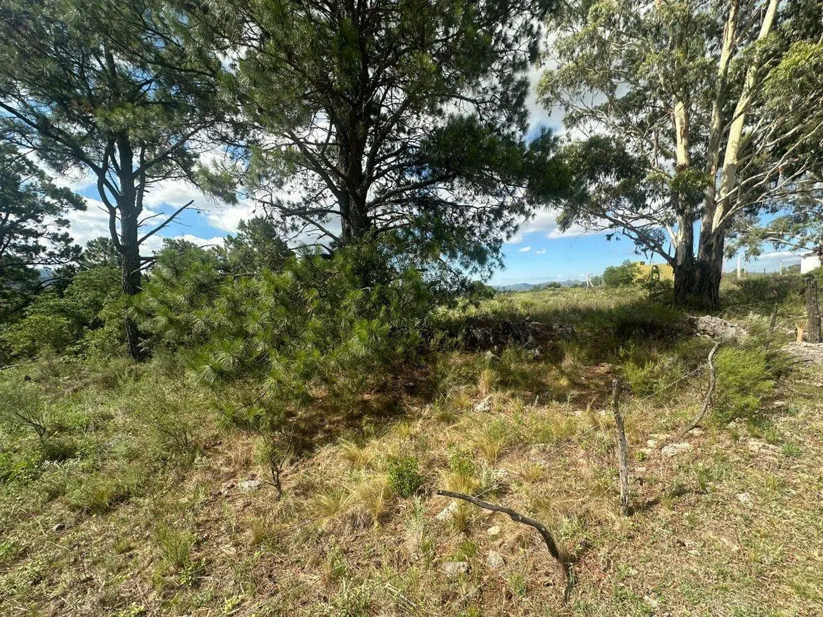 VENTA LOTE 1.5HA EN SAN CLEMENTE SOBRE RUTA C/RIO 4