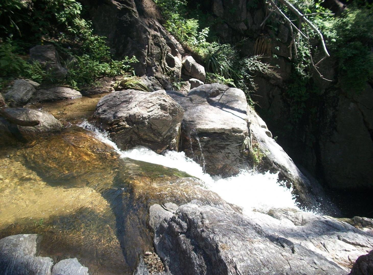 Foto de venta 3 Hectáreas con Arroyo en El Durazno Calamuc, imagen 4