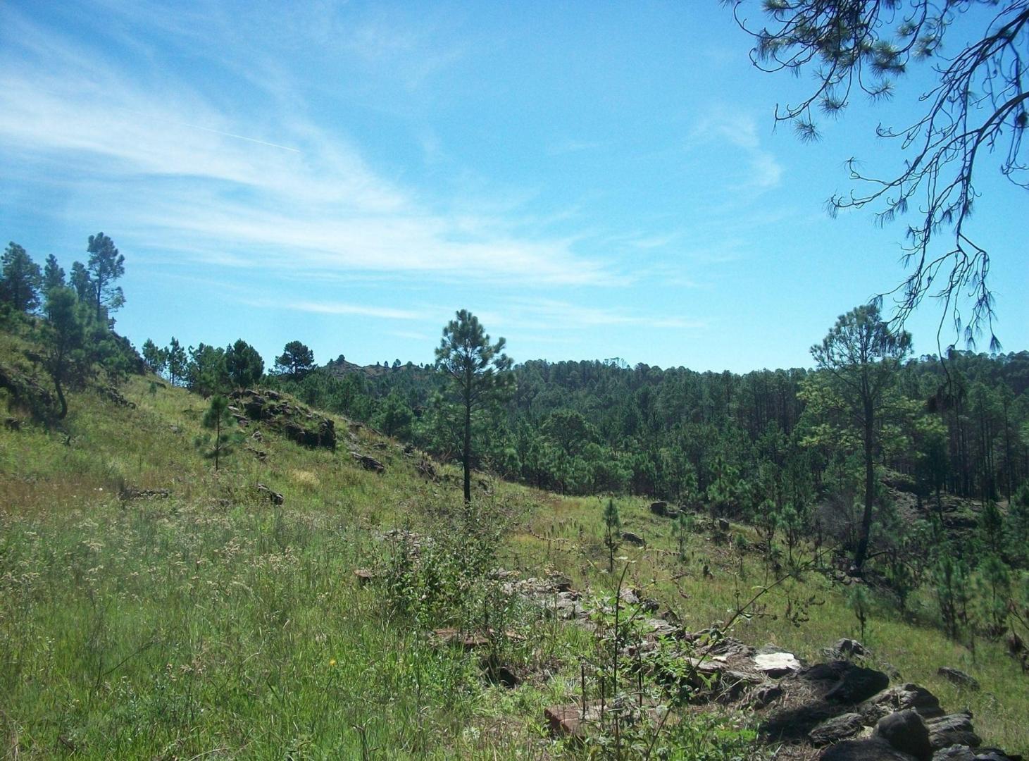 Foto de venta 3 Hectáreas con Arroyo en El Durazno Calamuc, imagen 2