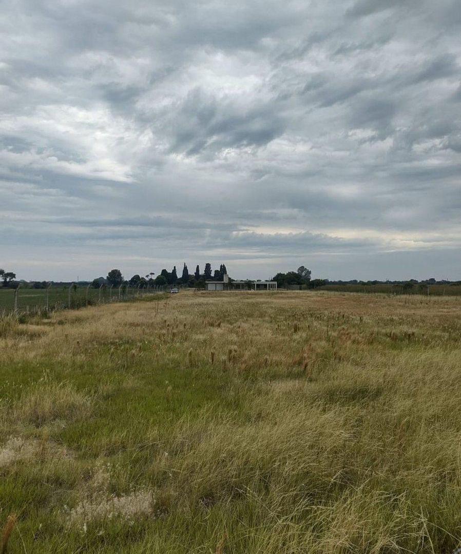 Foto de Venta Casa con Lote 1 Hectárea Ruta 19, imagen 3