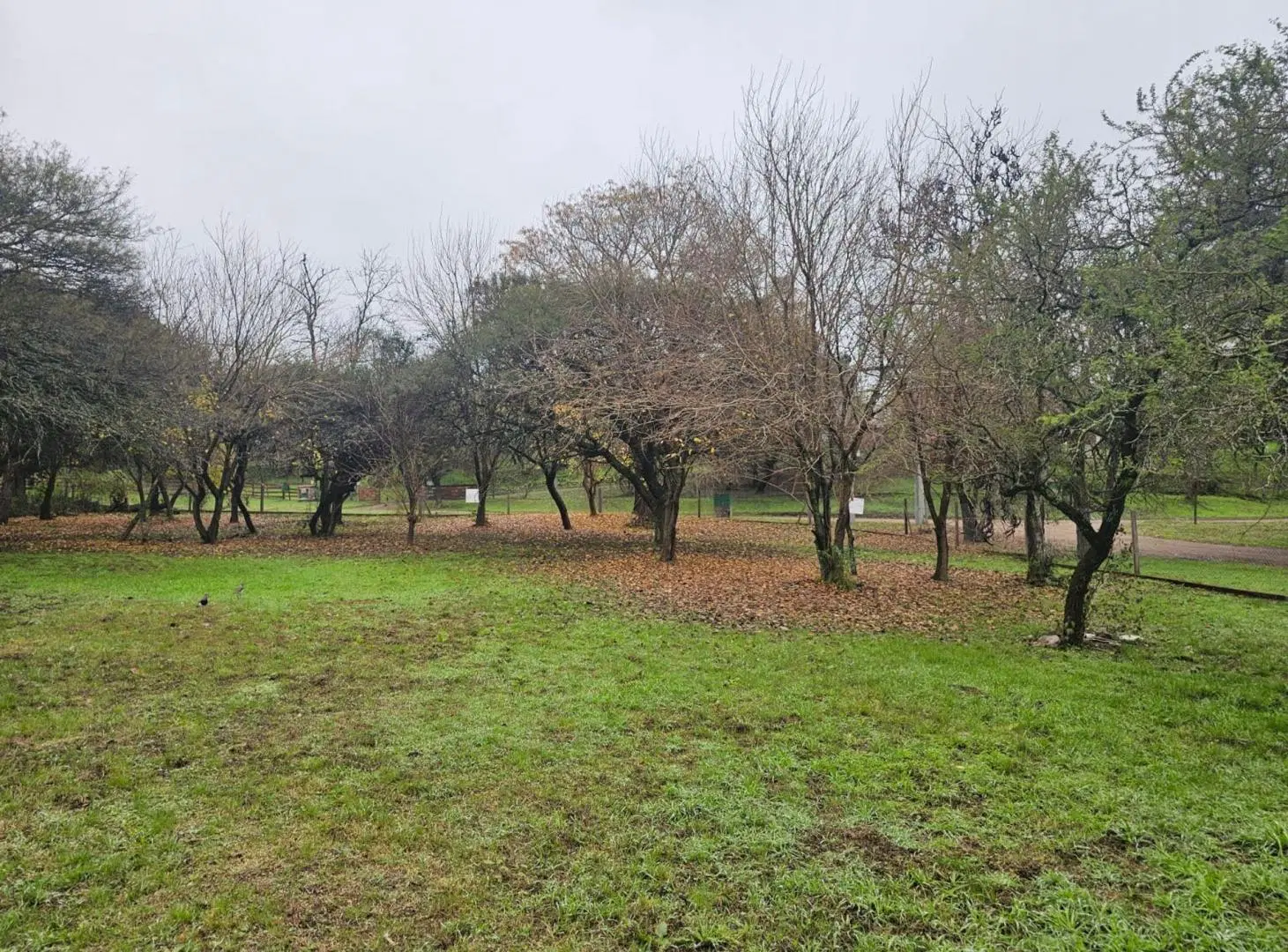Lote en Venta BARRANCAS DE UNQUILLO. Financiación 8