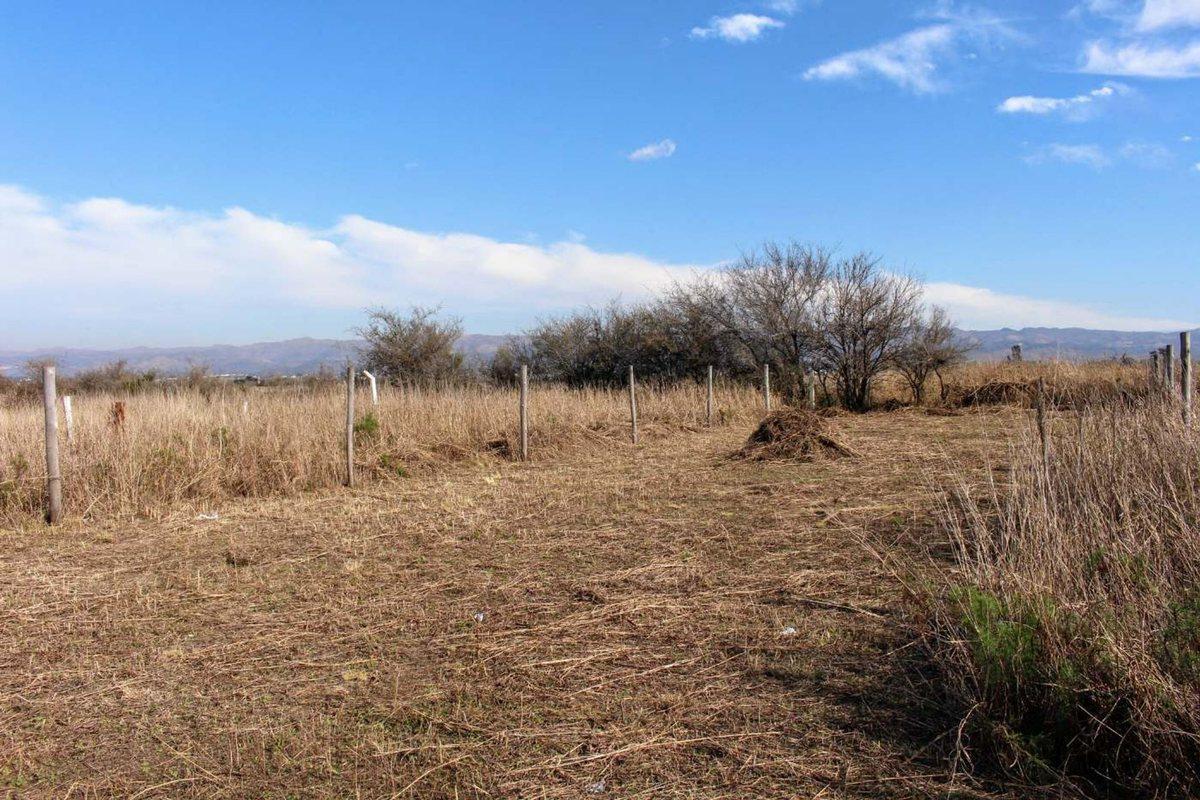 Foto de VENTA TERRENO 480M2 VILLA DEL PRADO ESCRITURA, imagen 1