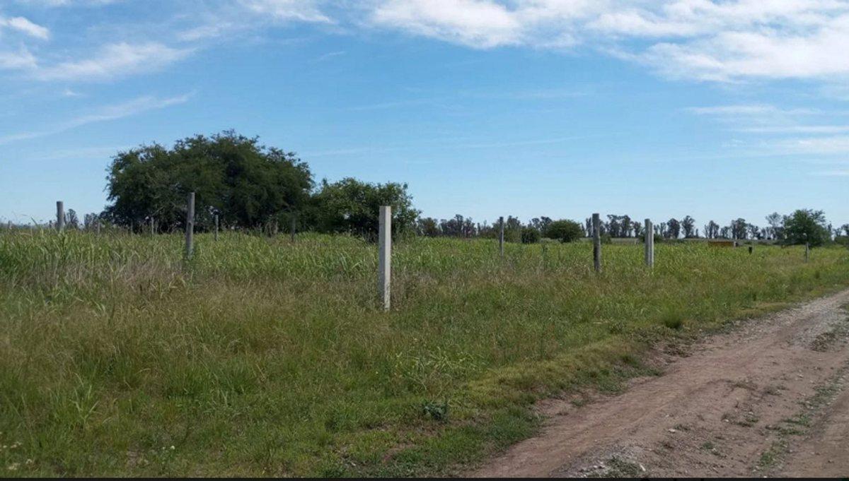 Foto de VENTA TERRENO 480M2 VILLA DEL PRADO ESCRITURA, imagen 5