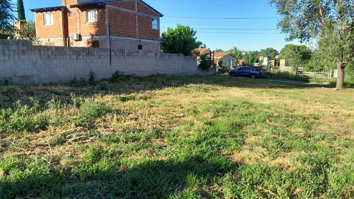 Foto de VENTA TERRENO 700 SAN ANTONIO, imagen 5