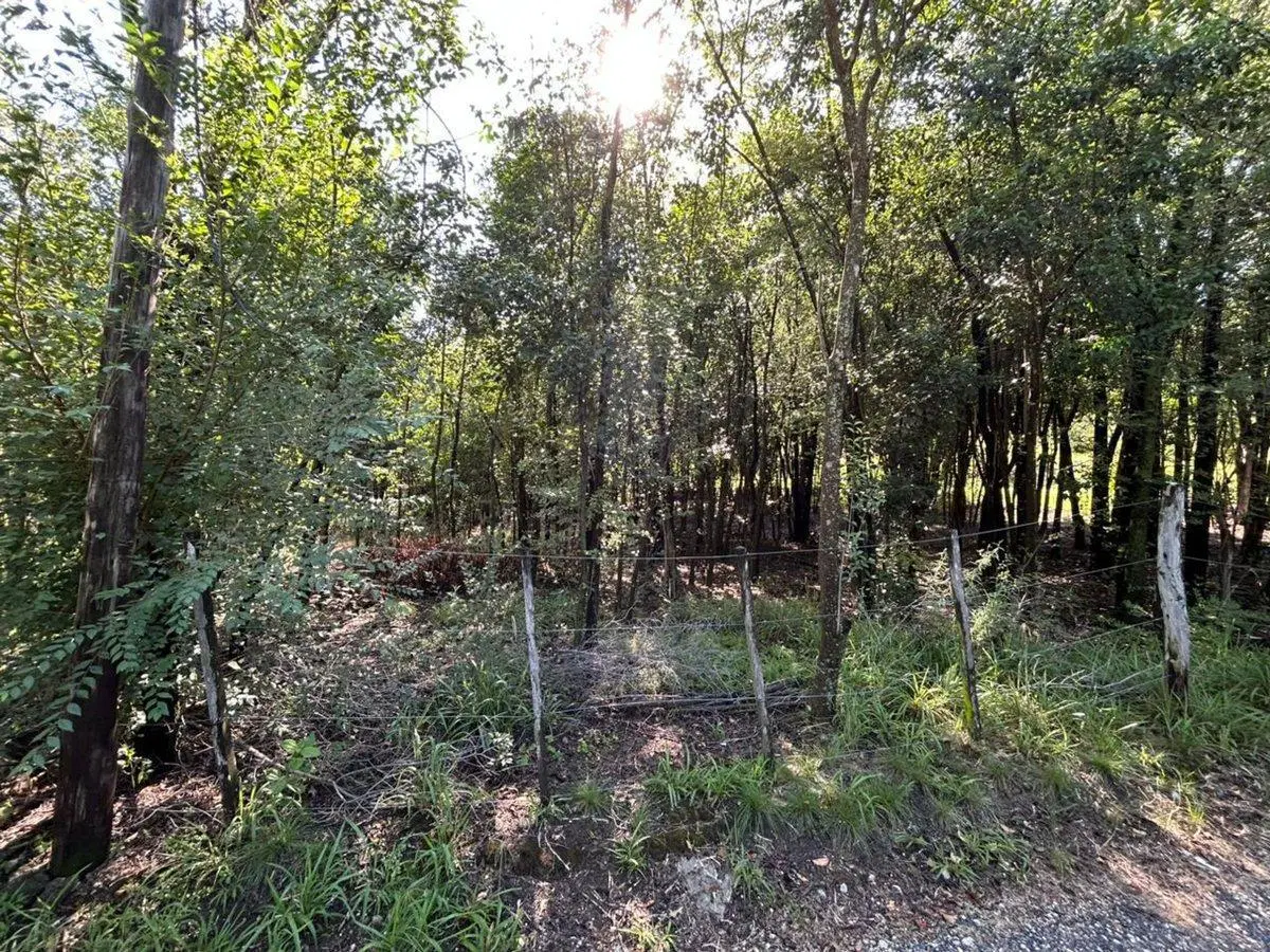 VENTA TERRENO 1001 mts LA SERRANITA 3