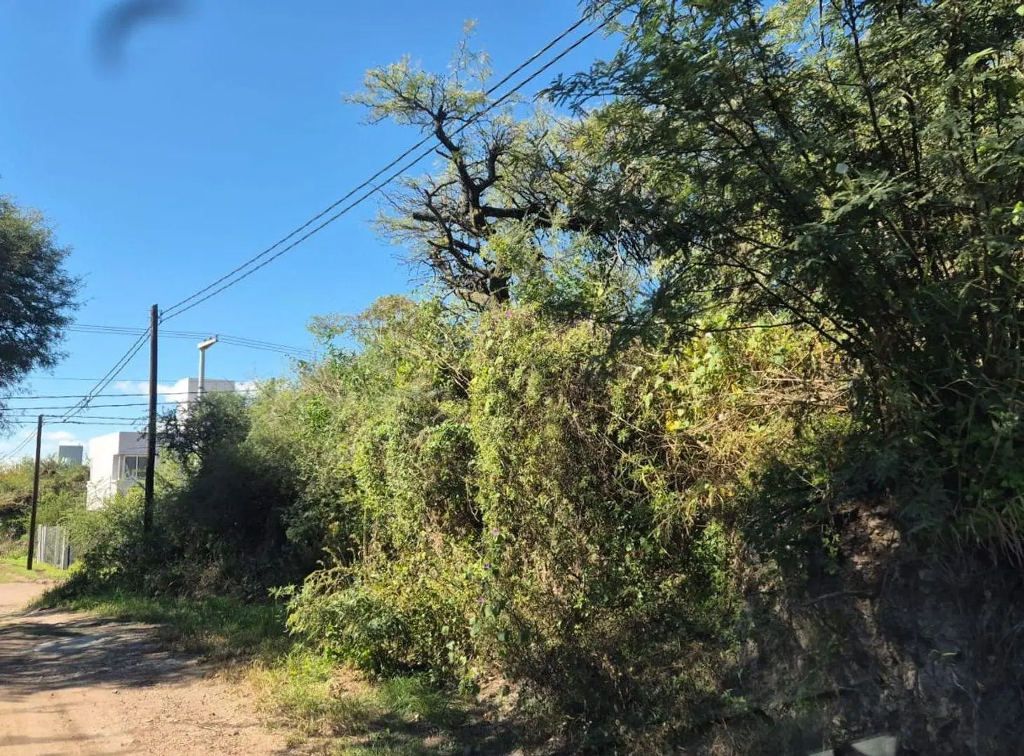VENTA LOTE 500M2 APTO DUPLEX PROSSUR RIO CEBALLOS 5