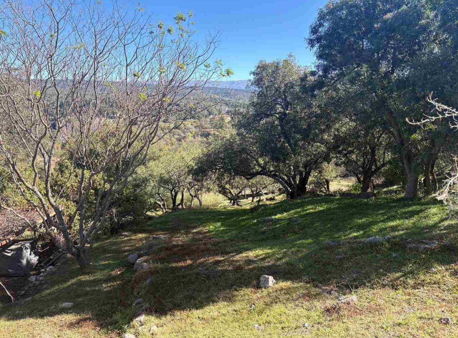 Foto de TERRENO EN VENTA EN POSTA CARRETA CLUB DE CAMPO, imagen 2