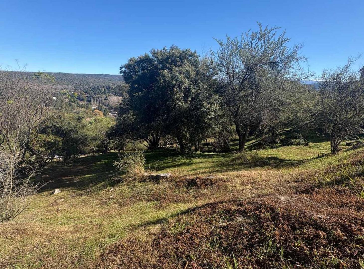 Foto de TERRENO EN VENTA EN POSTA CARRETA CLUB DE CAMPO, imagen 3