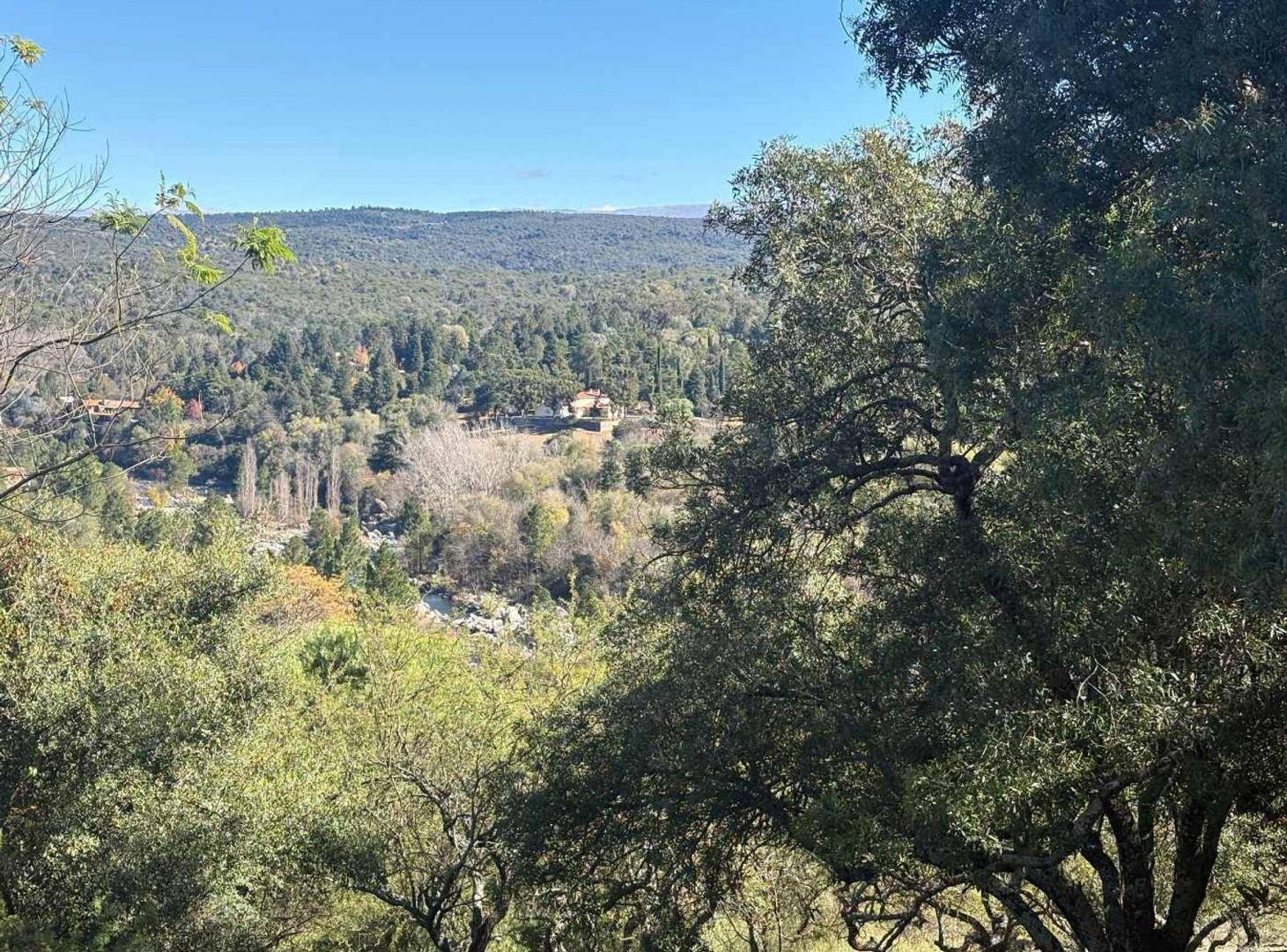 Foto de TERRENO EN VENTA EN POSTA CARRETA CLUB DE CAMPO, imagen 1