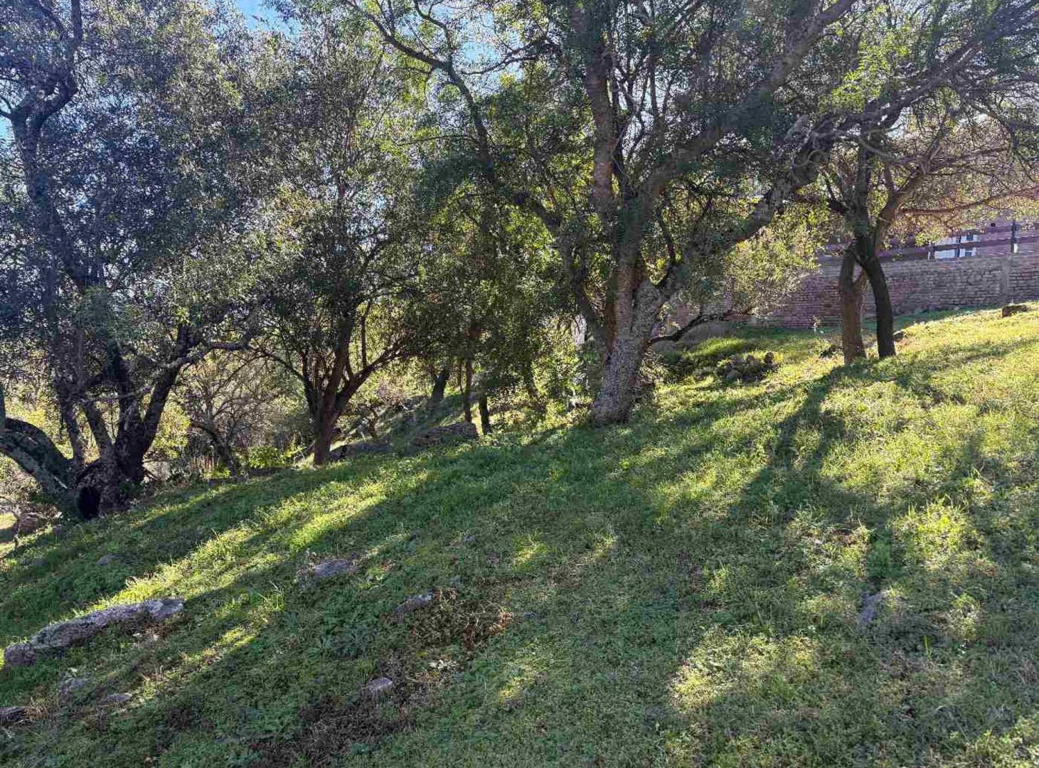 Foto de TERRENO EN VENTA EN POSTA CARRETA CLUB DE CAMPO, imagen 4