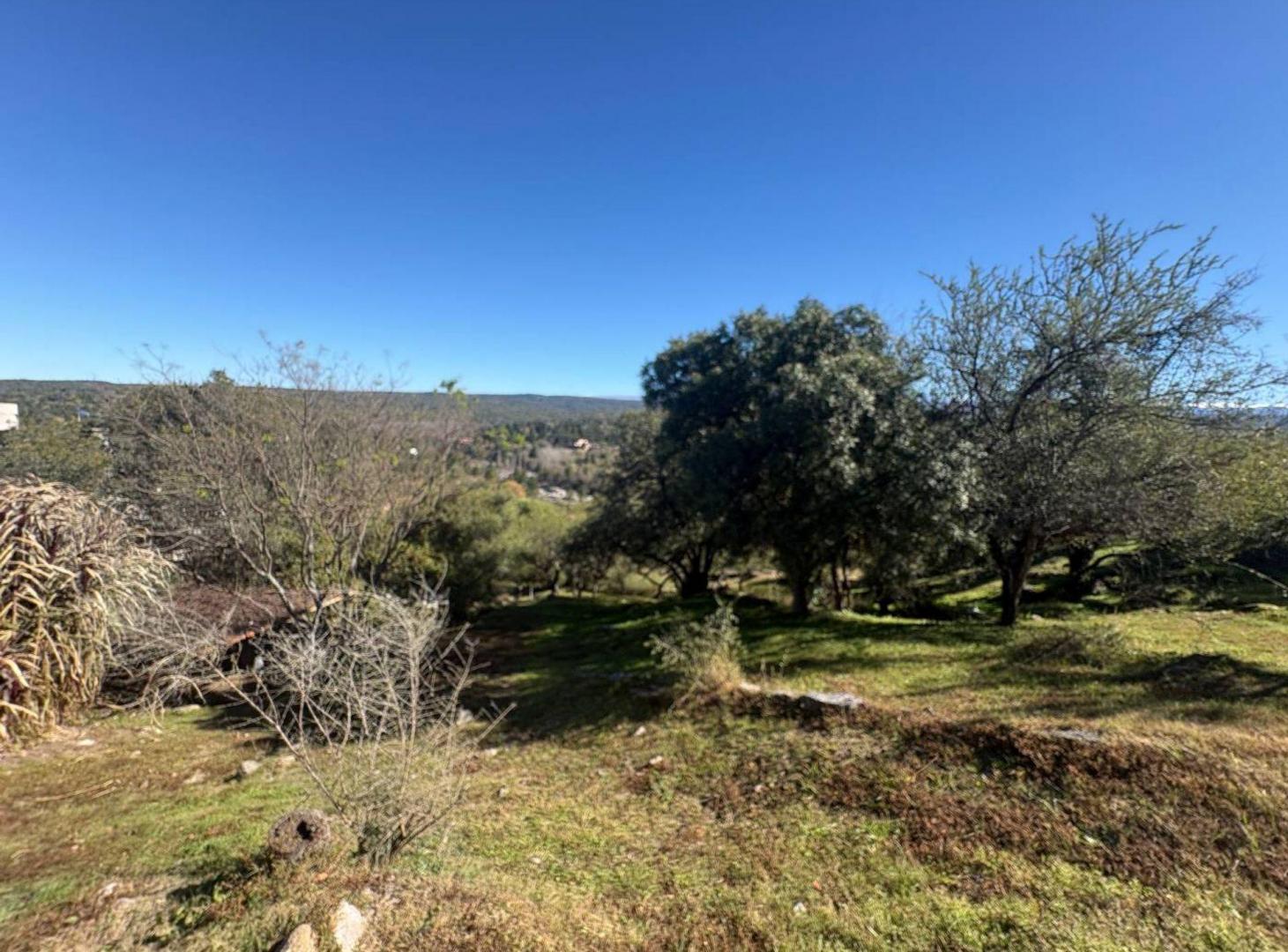 Foto de TERRENO EN VENTA EN POSTA CARRETA CLUB DE CAMPO, imagen 5