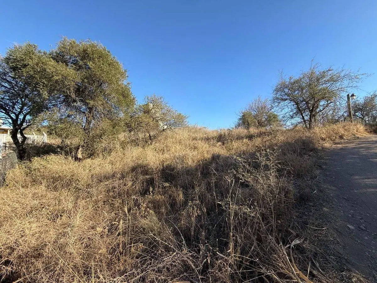TERRENO 1000 M2 MOLINOS DE VIENTO EL TALAR MENDIO 8