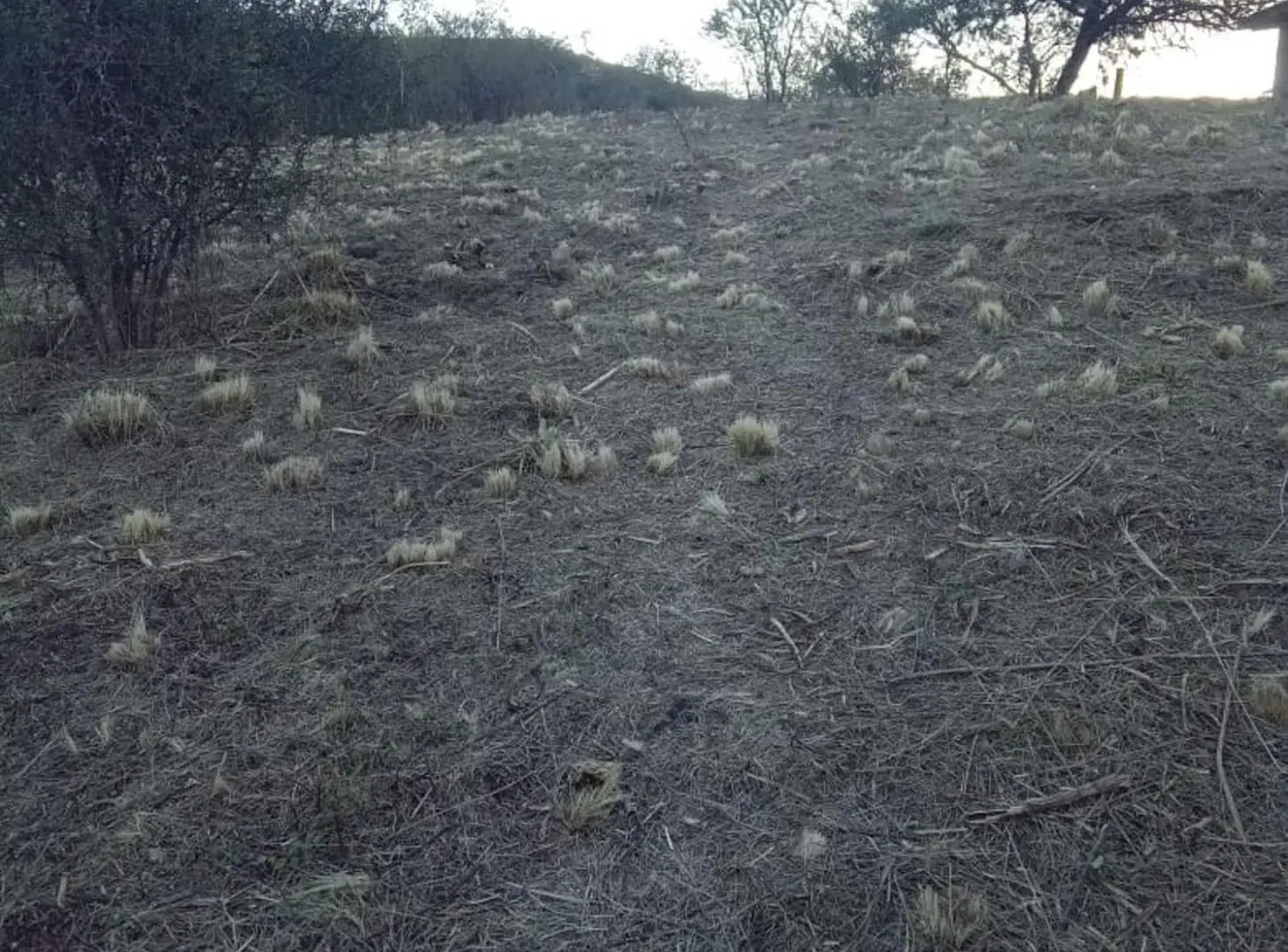 VENTA LOTE CERRO DEL SOL SALSIPUEDES 3