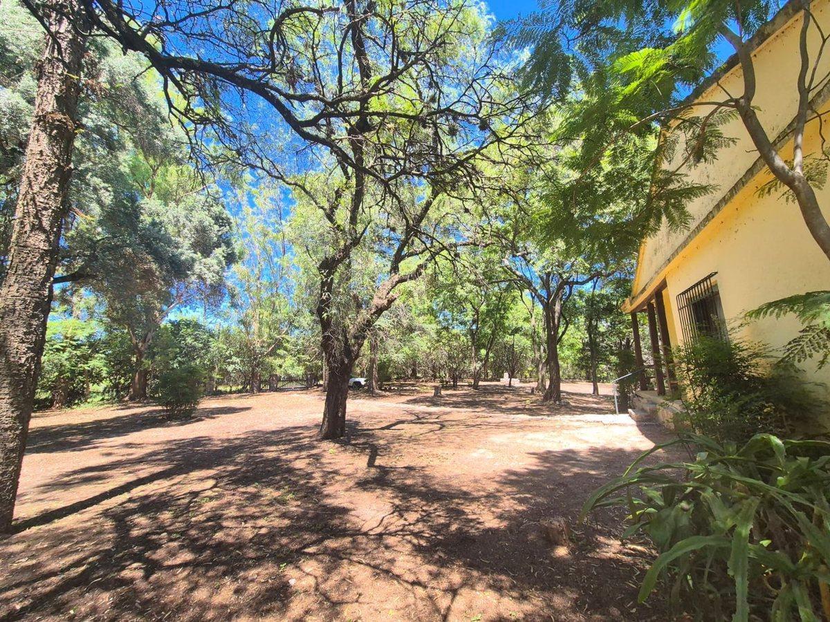 Foto de VENTA CASONA LTE 6500M2 VILLA ANI MI LA GRANJA E53, imagen 5