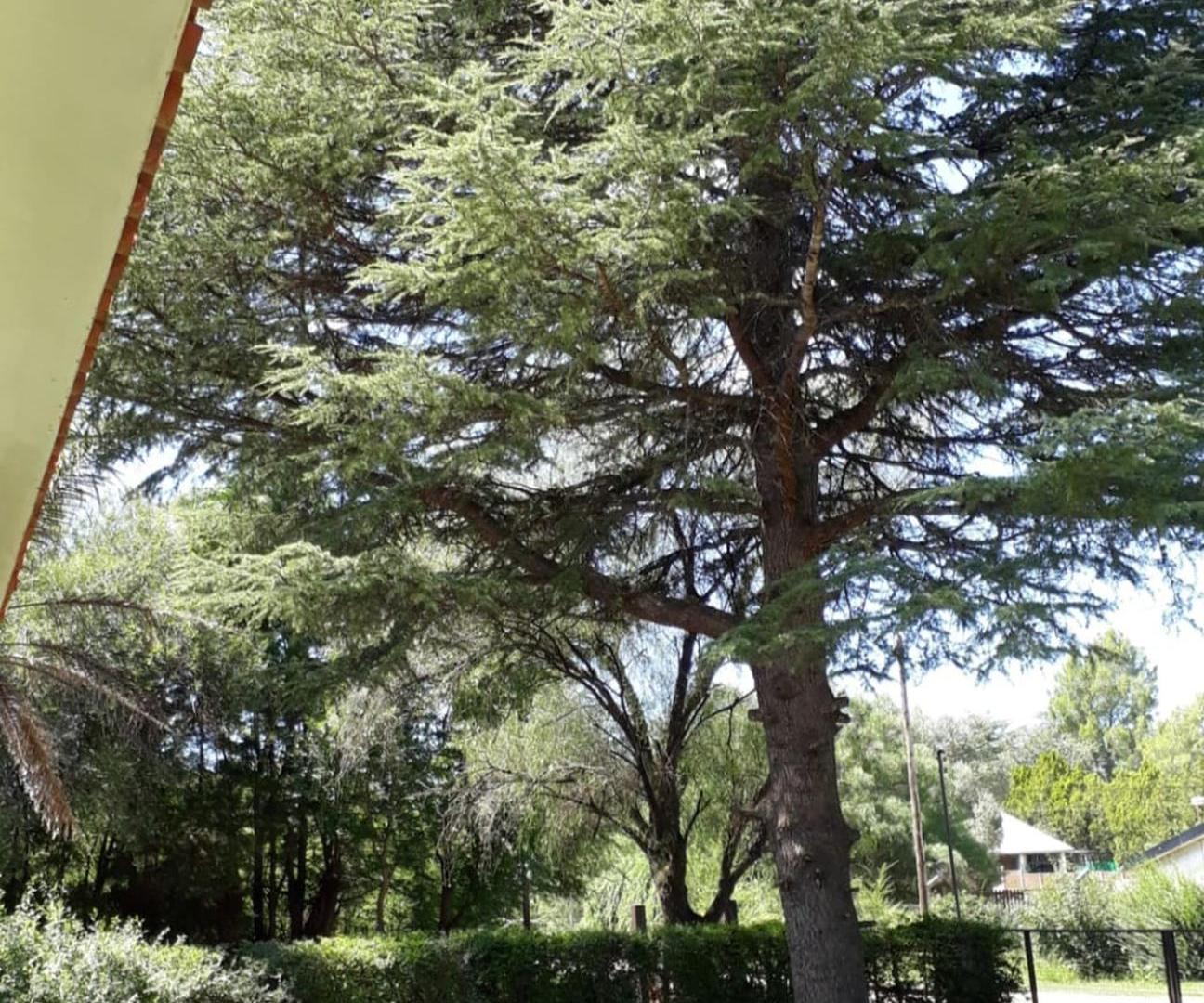 Foto de venta exclusiva lago azul 1 c del lago carlos paz, imagen 2