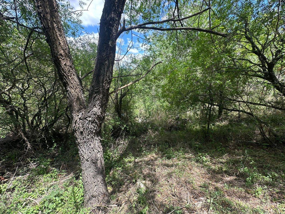 Foto de VENTA LOTE 1048MTS CON EDIFICACIÓN CUESTA BLANCA, imagen 3