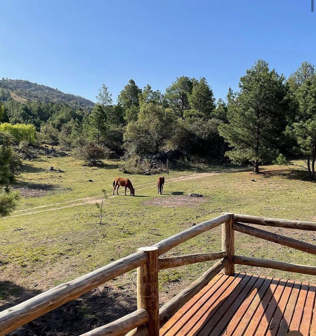 Foto de VENTA CASA DE ALTA MONTAÑA EN SAN CLEMENTE, imagen 4